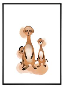 Curious meerkats - 30x40 cm Obraz