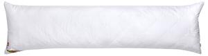 Livarno® Polštář pro spaní na boku Polygiene®, 40 x 145 cm (100410157)