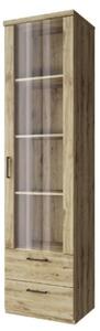 ARTEN (NANO Systems s.r.o.) Vysoká vitrína DOORSET-1W2S (Dub navarra)