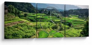 Obraz rýžových polí (s hodinami) (90x30 cm)