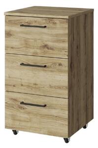 ARTEN (NANO Systems s.r.o.) Kontejner DOORSET-3S (Dub navarra)