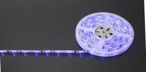 GLOBO 38991 LED BAND LED pásek RGBW LED 4950mm 90x0,17W/330lm bílá, stmívatelné, dálkový ovladač