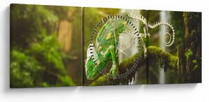 Obraz chameleona (s hodinami) (90x30 cm)