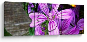 Obraz - luční květiny (s hodinami) (90x30 cm)