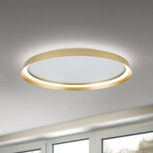 ORION LED stropní svítidlo Manta, Ø 60 cm, zlatá barva, hliník, nahoru/dolů, stmívatelný, Mosaz / zlato, Obývací pokoj / jídelna, Hliník, Moderní, Stropní svítidlo