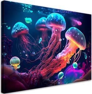 Obraz na plátně Svítící medúzy Rozměry: 60 x 40 cm