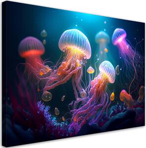 Obraz na plátně Plovoucí medúzy Rozměry: 60 x 40 cm