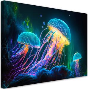 Obraz na plátně Barevné medúzy Rozměry: 60 x 40 cm