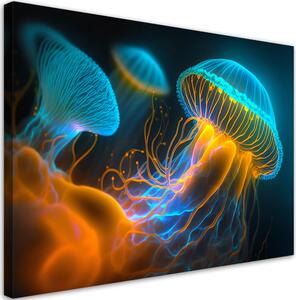 Obraz na plátně Úchvatné medúzy Rozměry: 60 x 40 cm