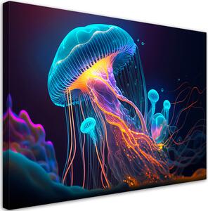 Obraz na plátně Majestátní medúza Rozměry: 60 x 40 cm