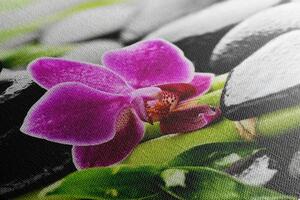 Obraz wellness zátiší s fialovou orchidejí