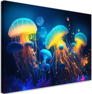 Obraz na plátně Medúzy v hloubce Rozměry: 60 x 40 cm