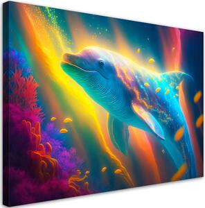 Obraz na plátně Nádherný delfín Rozměry: 60 x 40 cm