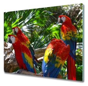 Skleněná krájecí deska Papoušky papoušků 60x52 cm