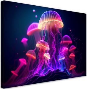 Obraz na plátně Tajemné medúzy Rozměry: 60 x 40 cm