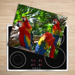 Skleněná krájecí deska Papoušky papoušků 60x52 cm