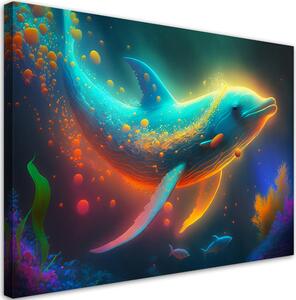 Obraz na plátně Mořský delfín Rozměry: 60 x 40 cm