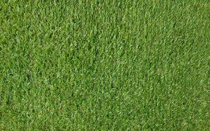 Umělá tráva CG-Aimsley 45 BARVA: Zelená, ŠÍŘKA: 4 m