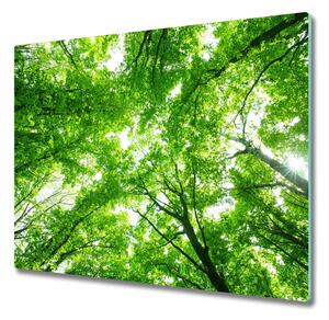 Skleněná krájecí deska Zelený les 60x52 cm