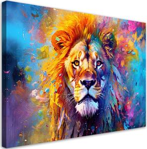 Obraz na plátně Barevný lev Rozměry: 60 x 40 cm