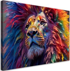 Obraz na plátně Lev s barvami Rozměry: 60 x 40 cm