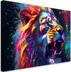 Obraz na plátně Barevný silný lev Rozměry: 60 x 40 cm
