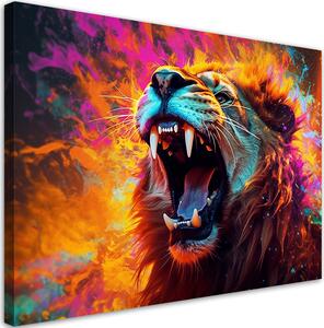 Obraz na plátně Barevný zuřivý lev Rozměry: 60 x 40 cm