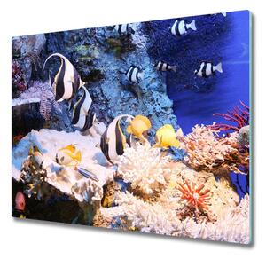 Skleněná krájecí deska Korálový útes 60x52 cm