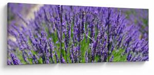Obraz - levandule (s hodinami) (90x30 cm)