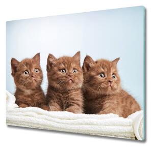 Skleněná krájecí deska Kočky na ručníku 60x52 cm