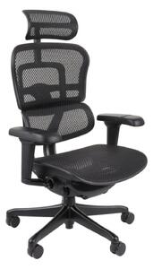 Ergonomické křeslo Ergohuman 2 Ultra BS Black