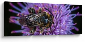 Obraz včely na květině (s hodinami) (90x30 cm)