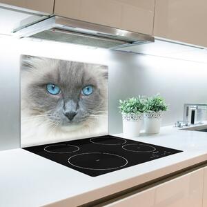 Skleněná krájecí deska Kočka s modrými očima 60x52 cm