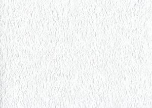 Papírové tapety na zeď 06089-10, rozměr 10,05 m x 0,53 m, strukturovaná bílá, P+S International