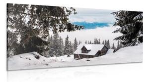 Obraz dřevěný domek u zasněžených borovicích - 100x50 cm