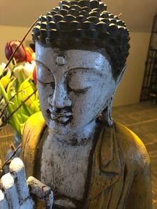 Hitra Budha meditující