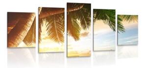 5-dílný obraz východ slunce na karibské pláži - 100x50 cm