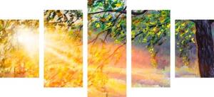 5-dílný obraz východ slunce v lese - 100x50 cm