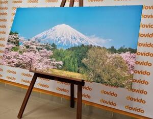 Obraz hora Fuji - 100x50 cm