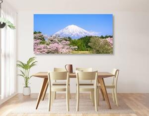 Obraz hora Fuji - 100x50 cm