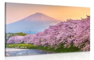 Obraz japonska sopka Fuji - 120x80 cm