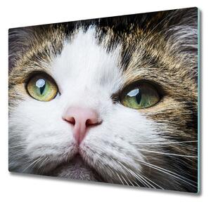 Skleněná krájecí deska Zelená kočka má oči 60x52 cm