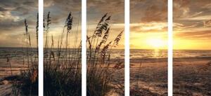 5-dílný obraz západ slunce na pláži - 100x50 cm