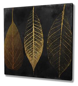 Wallity Obraz na plátně Leaves KC139 45x45 cm