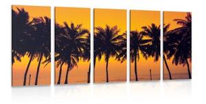 5-dílný obraz západ slunce nad palmami - 100x50 cm