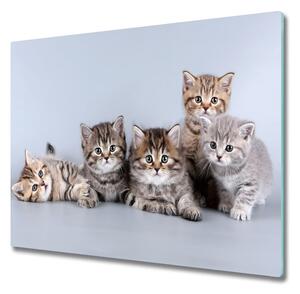 Skleněná krájecí deska Pět koček 60x52 cm