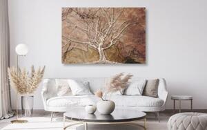 Obraz koruna stromu s abstraktním nádechem - 60x40 cm