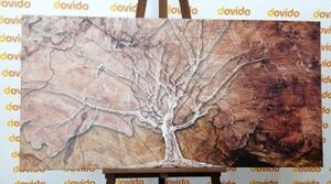 Obraz koruna stromu - 100x50 cm