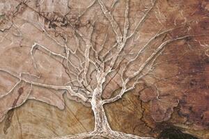 Obraz koruna stromu s abstraktním nádechem - 60x40 cm