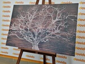 Obraz koruna stromu na dřevěném podkladu - 120x80 cm
